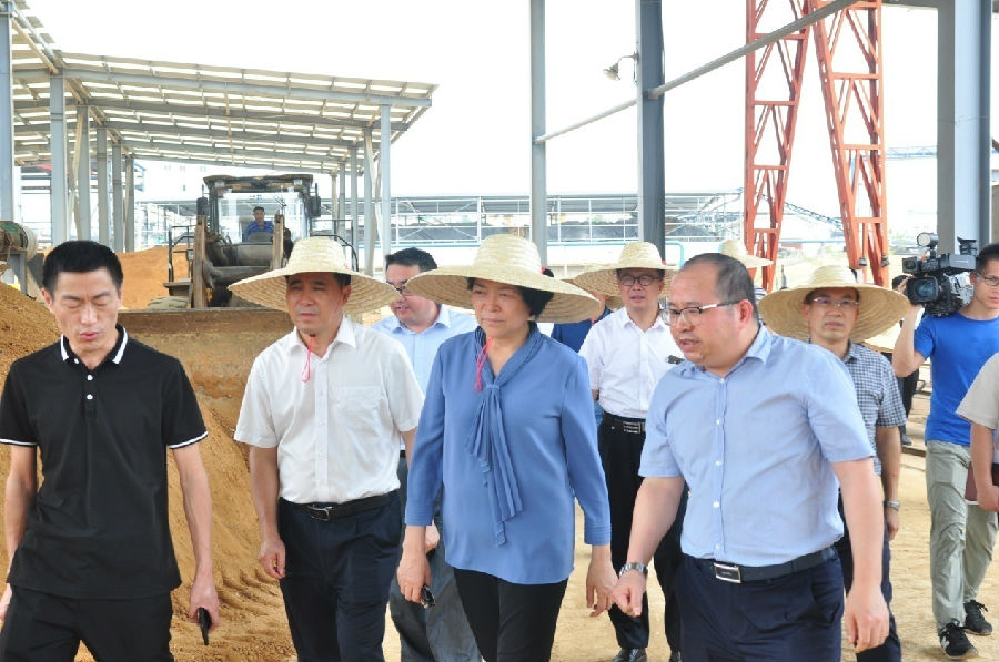 自治區(qū)黨委常委、副主席嚴(yán)植嬋一行蒞臨廣西銀億調(diào)研